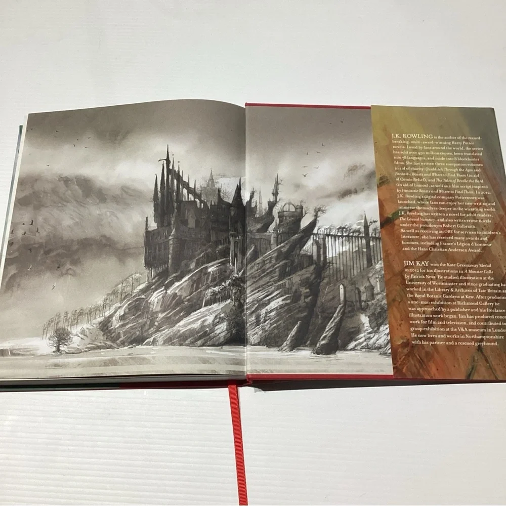 Harry Potter and the Philosopher's Stone: Illustrated Edition 1st Edition - Picture 13 of 13